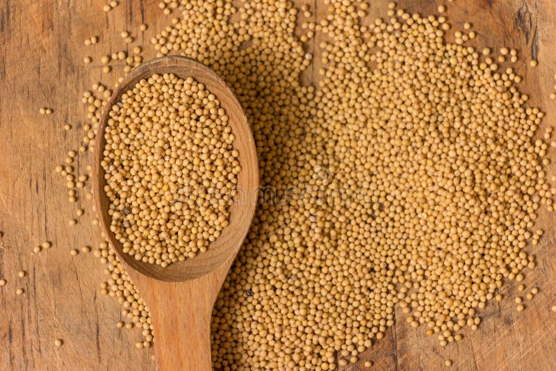 Mustard Seeds stock photo. Image of ingredient, isolated 55472468