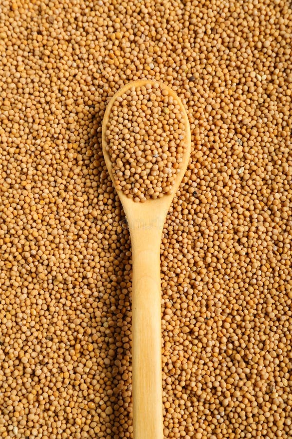 Mustard Seeds and Wooden Spoon As Background, Top View Stock Image