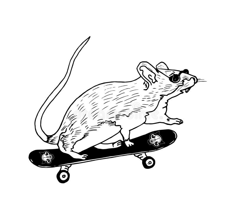 Mustecken i sunglasseson skateboard, handritad doodle, skiss i vintage gravure style, vetor vektor illustrationer