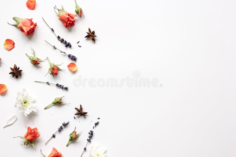 Muster von Blumen auf weißem Draufsichtspott des Hintergrundes oben