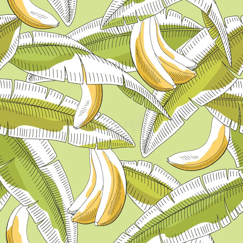 Musterskizzen-Illustrationsvektor des Bananenfruchtblattes grafische grüne gelbe Farbnahtloser stock abbildung Musterskizzen-Illustrationsvektor des Bananenfruchtblattes grafische grüne gelbe Farbnahtloser stock abbildung