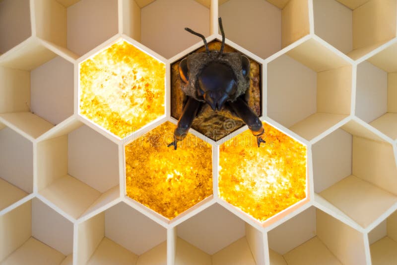 Musée d'abeille dans le village de Pastida La Grèce 30/05/2018 Objet exposé géant d'abeille sur l'affichage Île de Rhodes l'europ photographie stock libre de droits Musée d'abeille dans le village de Pastida La Grèce 30/05/2018 Objet exposé géant d'abeille sur l'affichage Île de Rhodes l'europ photographie stock libre de droits