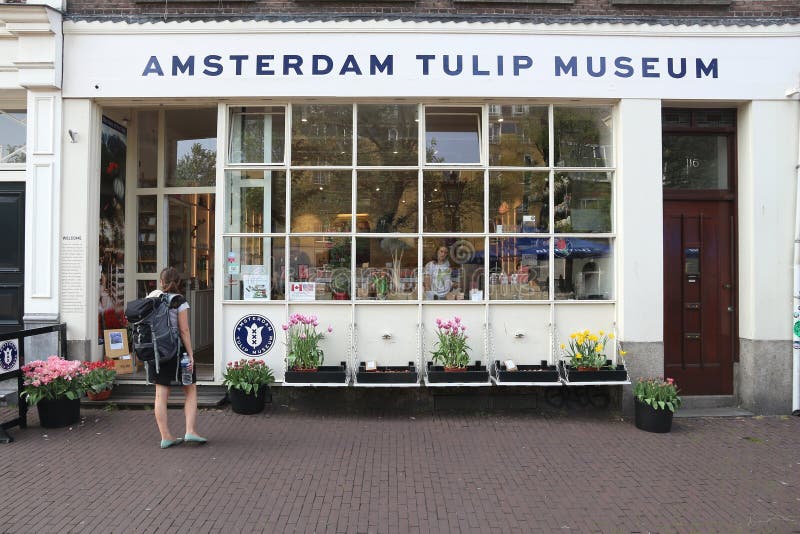Musée de tulipe d'Amsterdam photographie stock libre de droits Musée de tulipe d'Amsterdam photographie stock libre de droits
