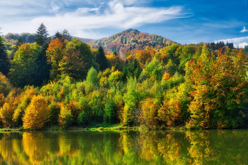 Jezero Mutné jazero v Kremnických vrších na podzim