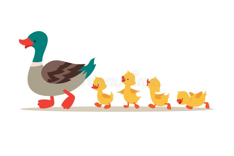 Mutterente und Enten. niedliche Enten in Folge. Zeichenkettenvektorbild lizenzfreie abbildung