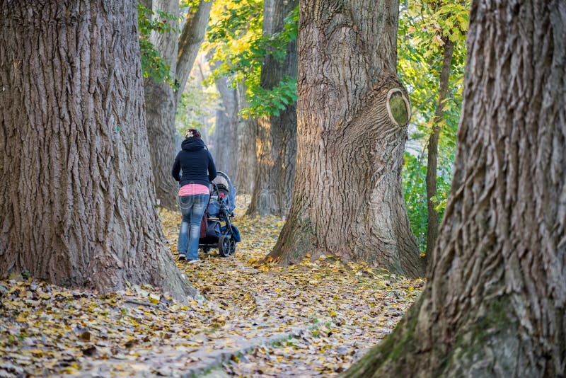 Mutter mit Buggy in einem Park im Herbst stockbilder Mutter mit Buggy in einem Park im Herbst stockbilder