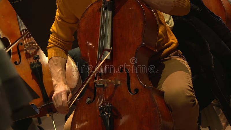 Muzyk bawić się na violancello w orkiestrze