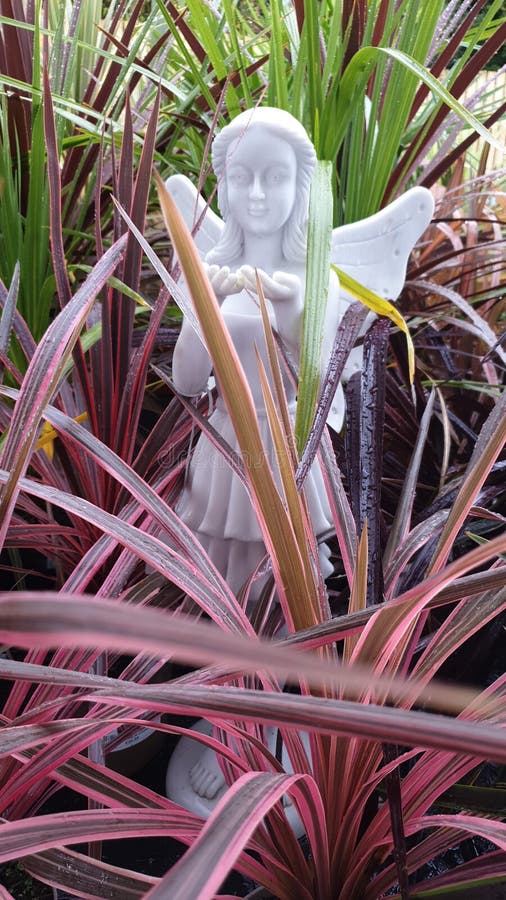 My Angel Walking between Palm Leaves Editorial Stock Image - Image of ...