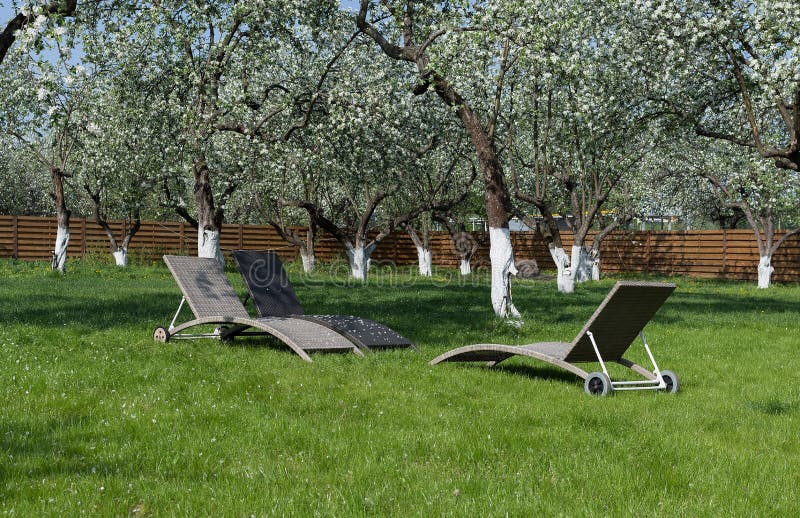 My blossom apple garden and relaxing place