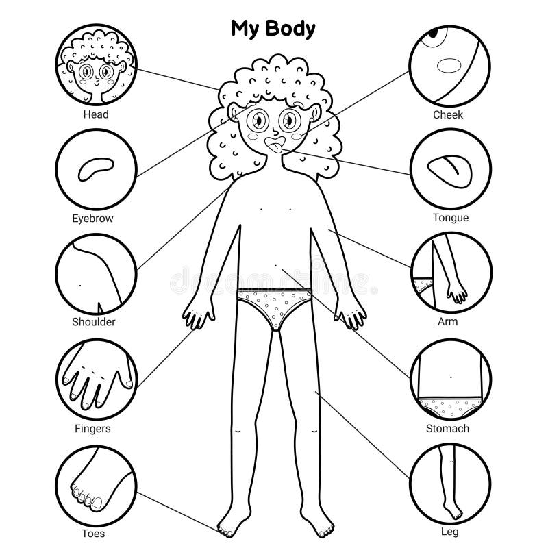 Body Parts Kids Stock Illustrations – 422 Body Parts Kids Stock