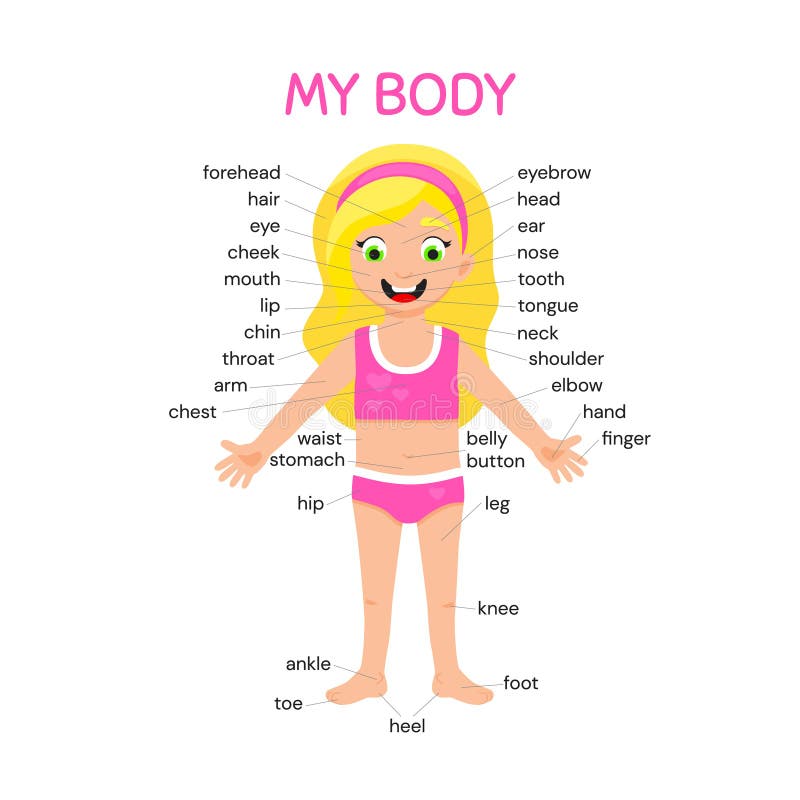 My Body Poster Cute Kid Girl Shows His Body Parts Medical Anatomy