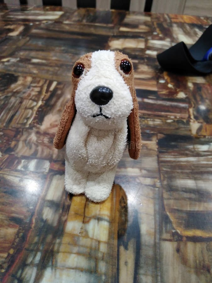 hush puppy dog hush puppy dog