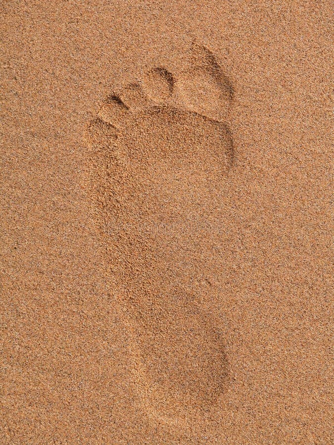 My footprint stock image. Image of digital, detail, miscellaneous - 855585