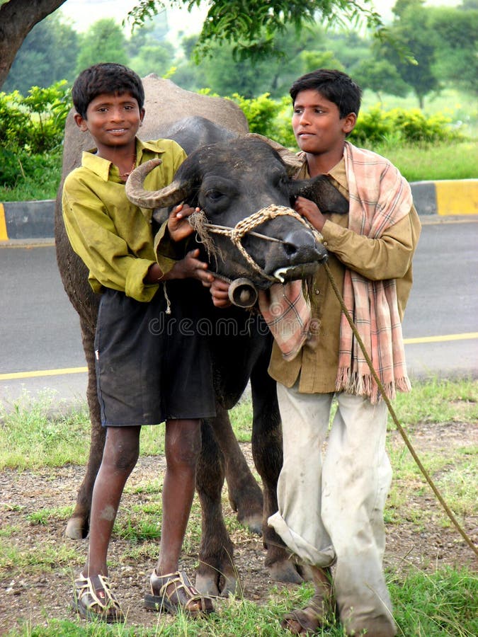 Metafórico imagen de búfalo su indio propietarios.