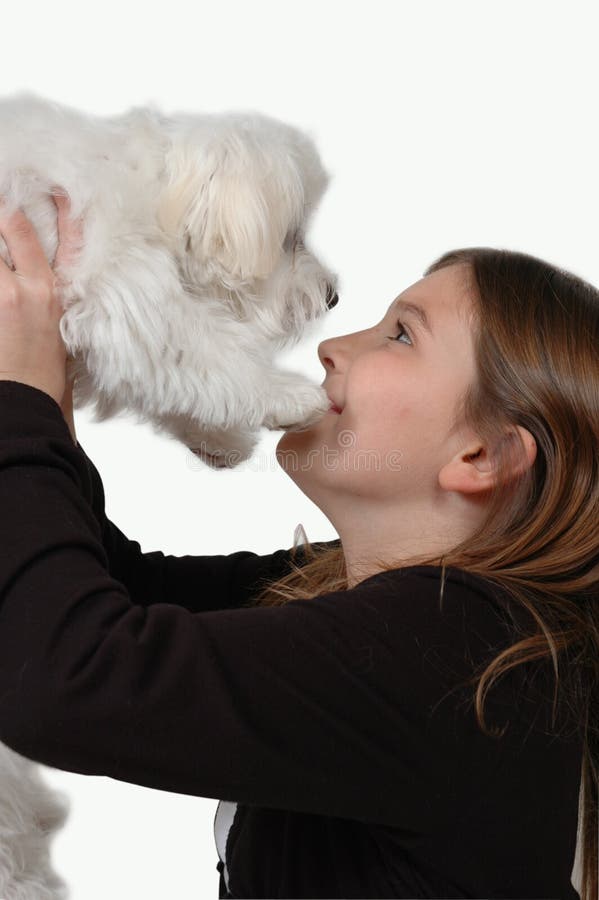 Cățelușul meu royalty free stock photo
