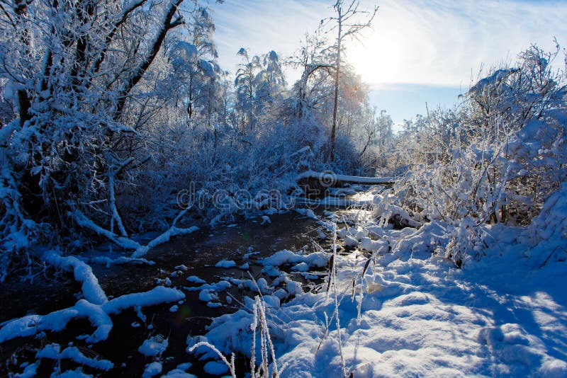 Mycket liten ström som flödar längs snöig trän på solig dag fotografering för bildbyråer Mycket liten ström som flödar längs snöig trän på solig dag fotografering för bildbyråer