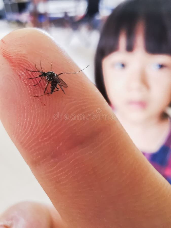 Myggor död på fingret med söt asiatisk flickbakgrund fotografering för bildbyråer