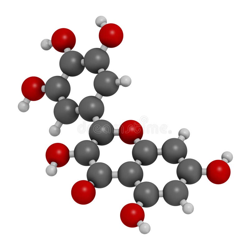 Myricetin Flavonoid Molecule. 3D Rendering Stock Image Illustration