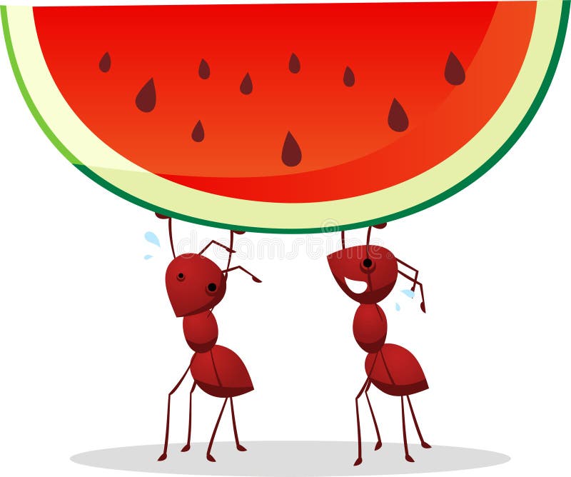 Myror som bär vattenmelon