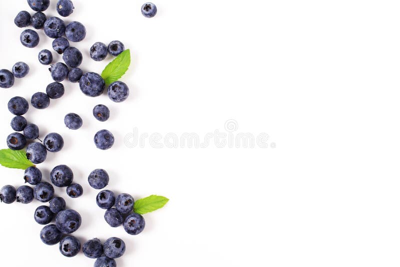 Fresh blueberry with leaf on white background. Fresh blueberry with leaf on white background