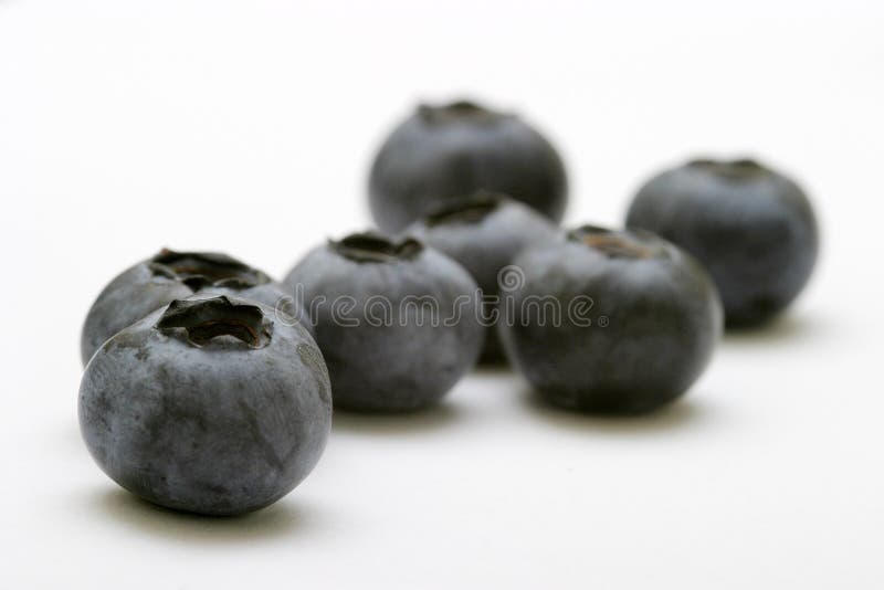 Blueberries isolated against a white background. Blueberries isolated against a white background