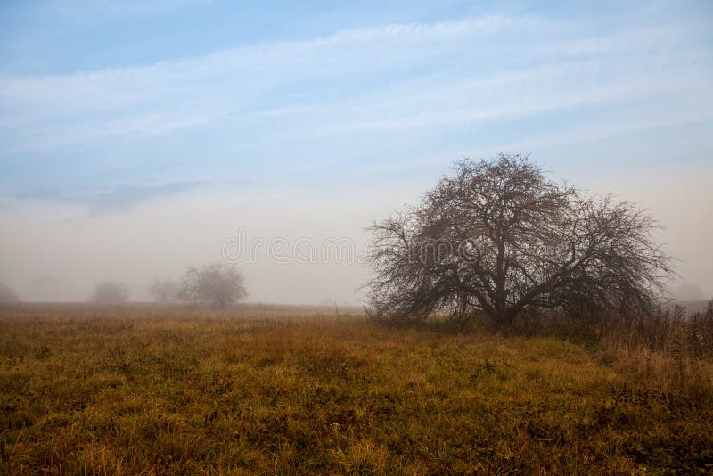 1,613 Apple Fog Photos - Free & Royalty-Free Stock Photos from Dreamstime