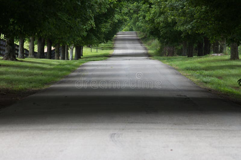 Mysterious Hidden Country Road Stock Photo - Image of relax, road ...
