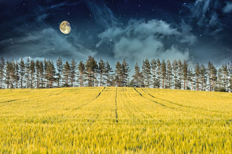 Mysterious Landscape – Field, Moon and Night Sky