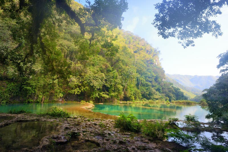 Mysterious Mayan jungle in the national park Semuc Champey Guatemala.