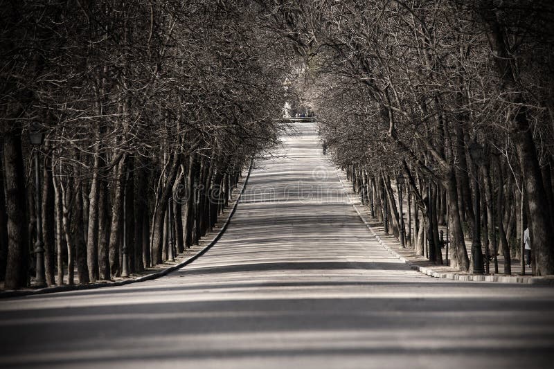 Mysterious park alley