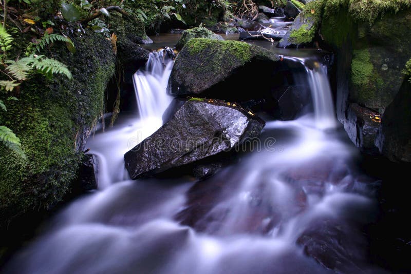 Mysterious purple river