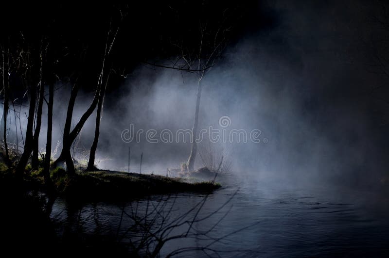 Mysterious Trees in a Haunted Forest stock photography Mysterious Trees in a Haunted Forest stock photography