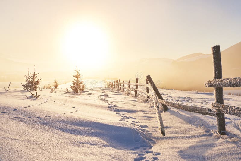 Mysterious winter landscape majestic mountains in winter. Magical winter snow covered tree. Photo greeting card royalty free stock photo Mysterious winter landscape majestic mountains in winter. Magical winter snow covered tree. Photo greeting card royalty free stock photo