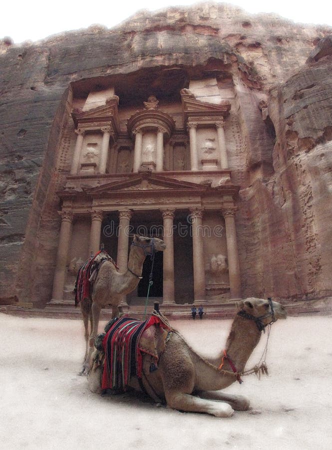 Cammelli davanti Tesoro di Petra, la Giordania, l'effetto vecchia foto.