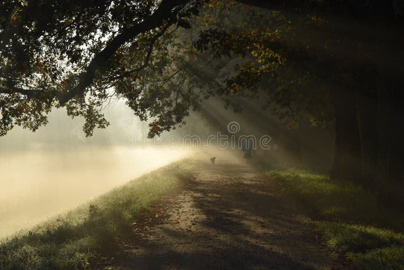 Mystery road, misty landscape, morning autumn park with sun rays royalty free stock image Mystery road, misty landscape, morning autumn park with sun rays royalty free stock image