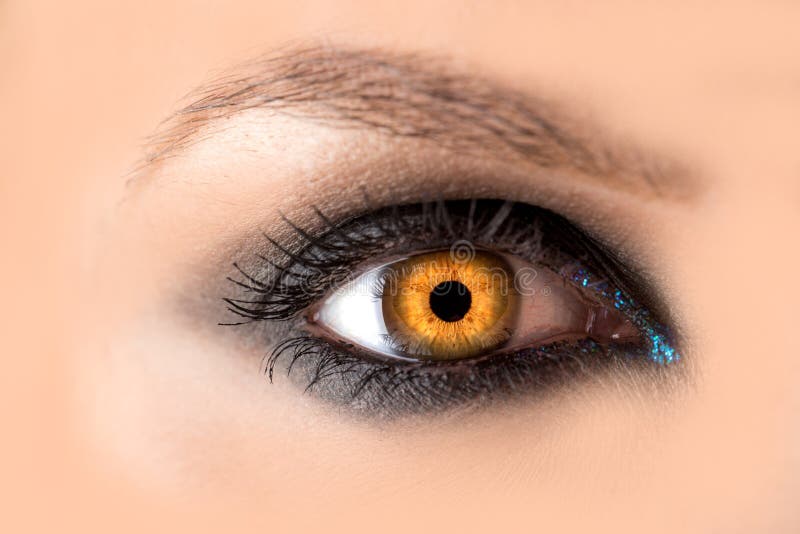 153 Amber Eyes Woman Stock Photos - Free & Royalty-Free Stock