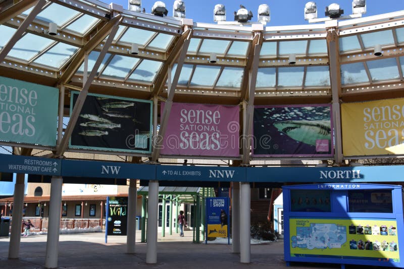 Mystic Aquarium in Connecticut Editorial Stock Image Image of