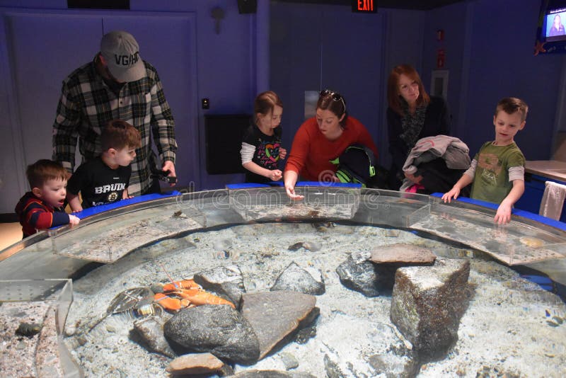 Mystic Aquarium in Connecticut Editorial Photography Image of connecticut, touch 88008482