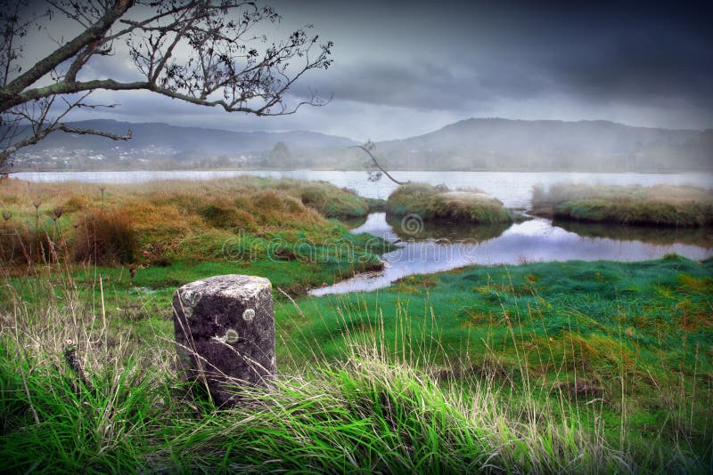 Mystic River stock photo. Image of morning, branch, moisture 4939416