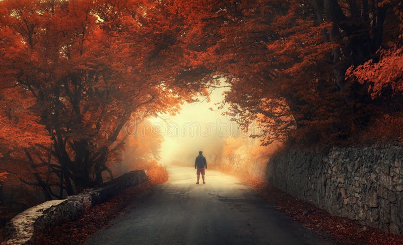 Mistico autunno foresta da uomo sul strade nebbia.