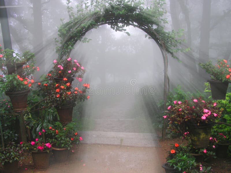 Mystical Flower Entrance Stock Image Image 2891791