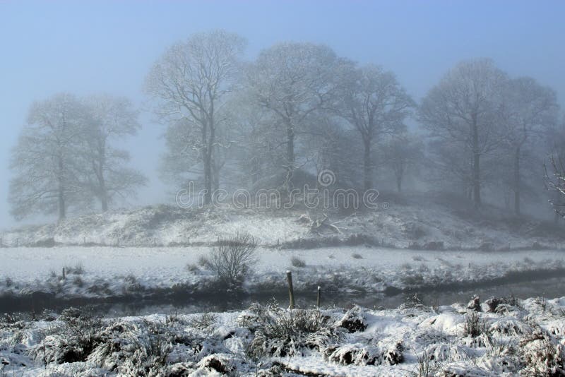 Mystische Szene Snowy Stockfoto Bild Von Szene Snowy