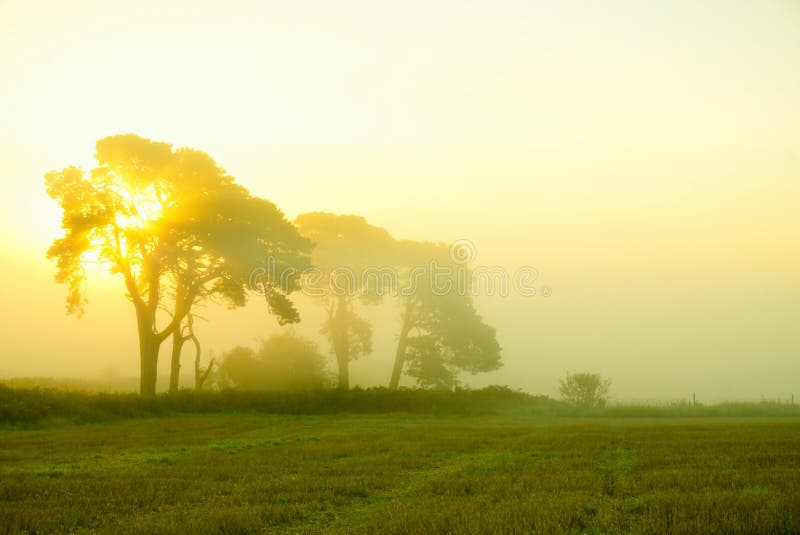 Mystischer Autumn Morning lizenzfreies stockfoto Mystischer Autumn Morning lizenzfreies stockfoto