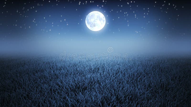 Mystischer Nachtflug über Gras