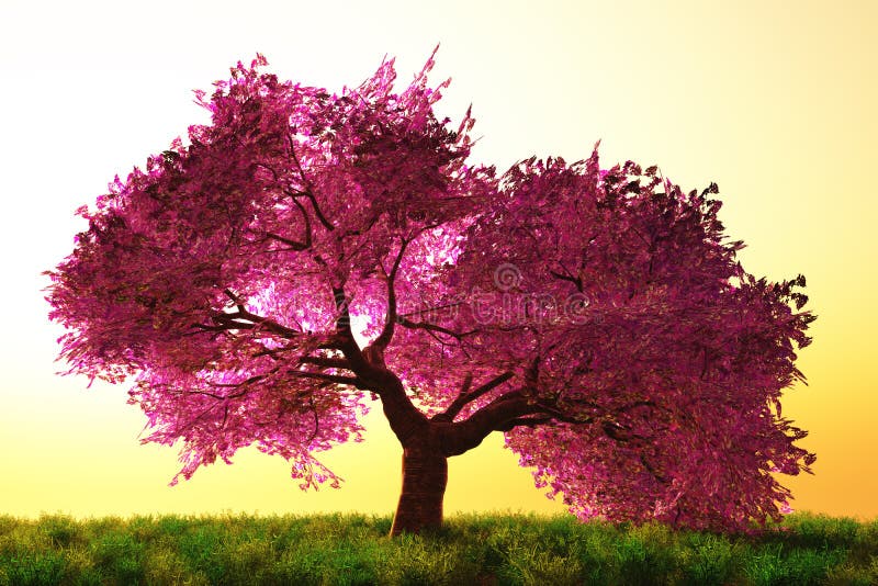 Mystisk japan för trädgård för blomningtecknad filmCherry stock illustrationer
