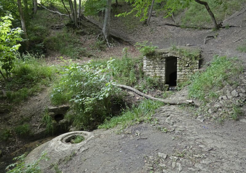 Mystisk stendörr mitt i skogen arkivfoton