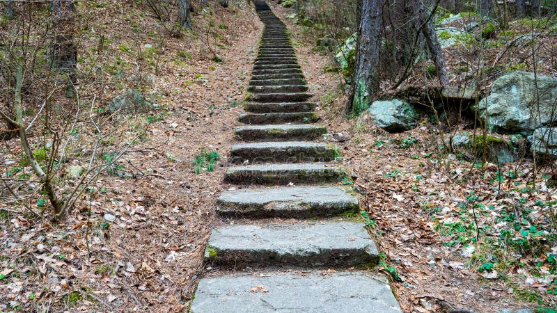 Mystisk stentrappor i skogen. arkivfoto