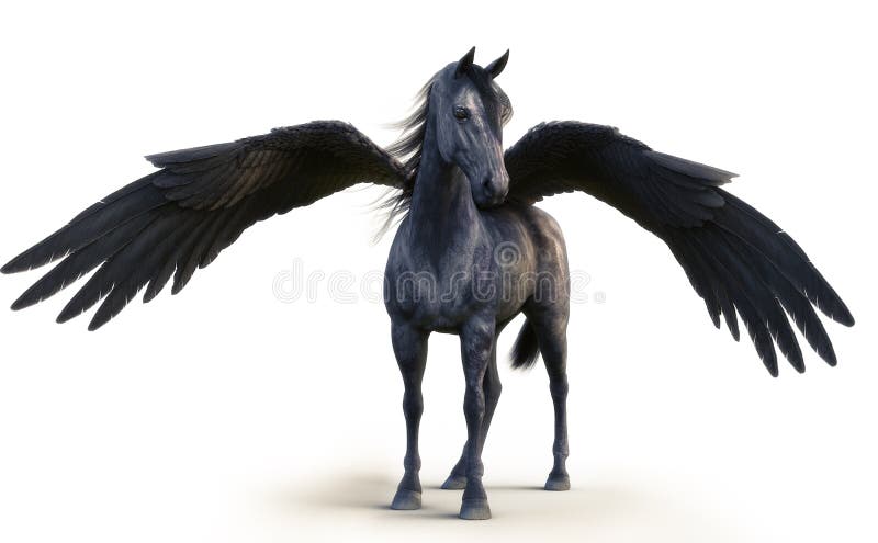 Mythical black Pegasus posing on white isolated background. vector illustration Mythical black Pegasus posing on white isolated background. vector illustration