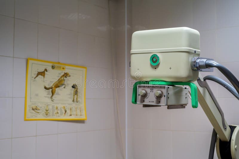 Máquina de radiografía en hospital veterinario fotos de archivo libres de regalías Máquina de radiografía en hospital veterinario fotos de archivo libres de regalías