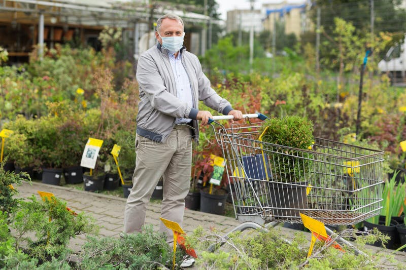 Máscara de hombre eligiendo plántulas en el mercado imagen de archivo